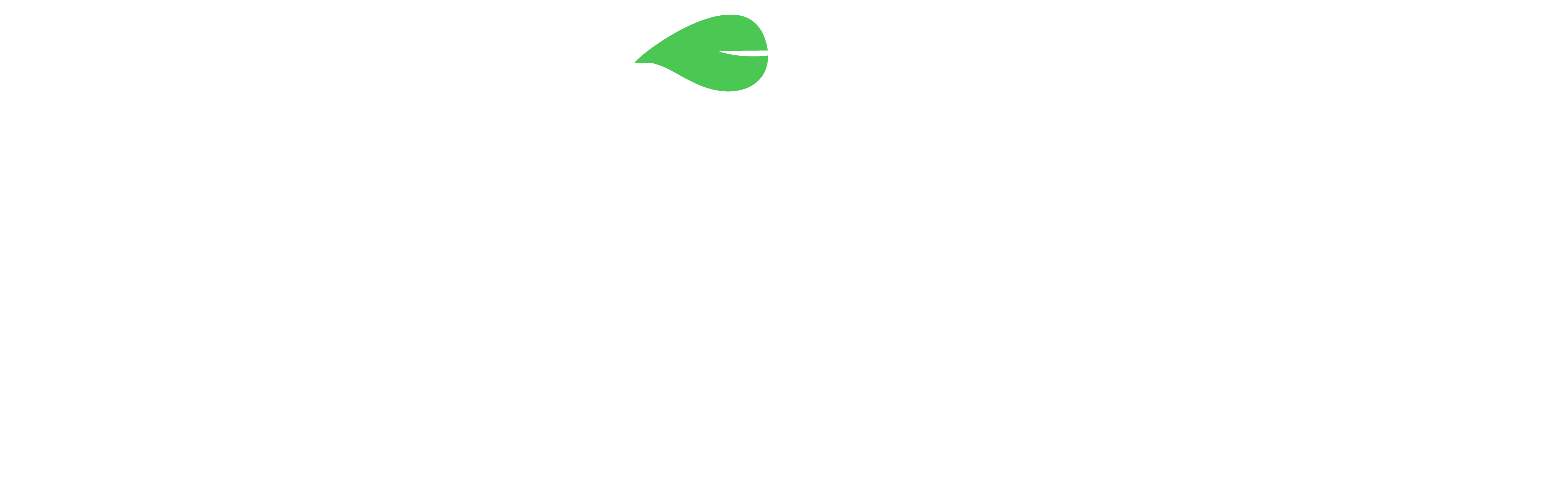 Dr Green Logo